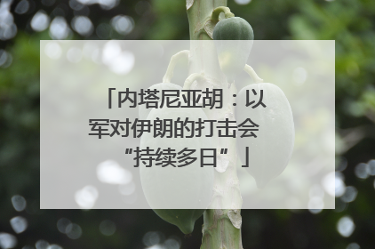 内塔尼亚胡：以军对伊朗的打击会“持续多日”