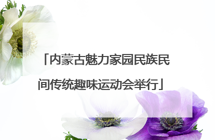 内蒙古魅力家园民族民间传统趣味运动会举行