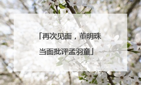 再次见面，董明珠当面批评孟羽童