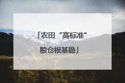 农田“高标准” 粮仓根基稳