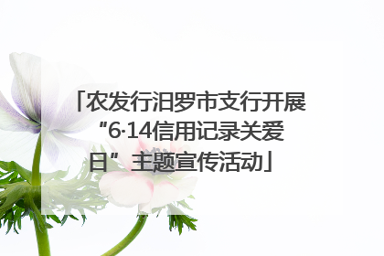 农发行汨罗市支行开展“6·14信用记录关爱日”主题宣传活动