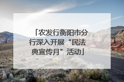农发行衡阳市分行深入开展“民法典宣传月”活动