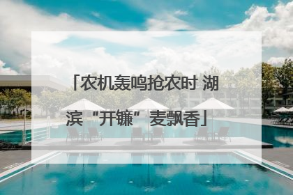 农机轰鸣抢农时 湖滨“开镰”麦飘香