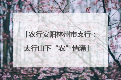 农行安阳林州市支行：太行山下“农”情涌