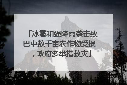 冰雹和强降雨袭击致巴中数千亩农作物受损，政府多举措救灾