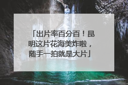 出片率百分百！昆明这片花海美炸啦，随手一拍就是大片
