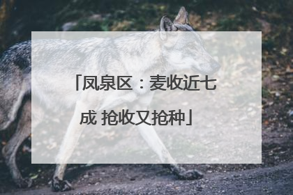 凤泉区：麦收近七成 抢收又抢种