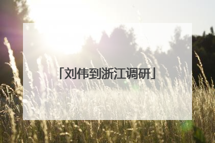 刘伟到浙江调研