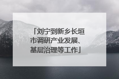 刘宁到新乡长垣市调研产业发展、基层治理等工作