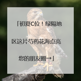 初夏C位！绿隔地区这片芍药花海点亮您的朋友圈→