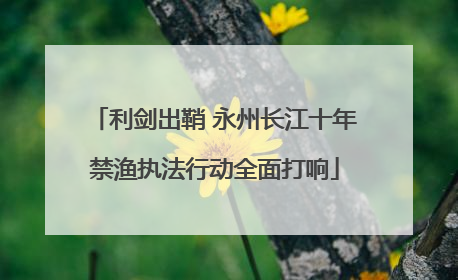 利剑出鞘 永州长江十年禁渔执法行动全面打响