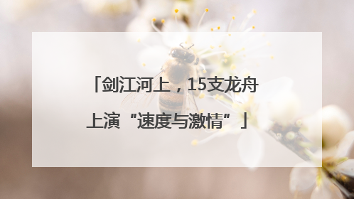剑江河上，15支龙舟上演“速度与激情”