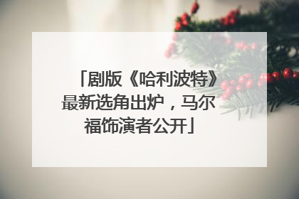 剧版《哈利波特》最新选角出炉，马尔福饰演者公开