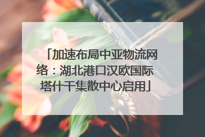 加速布局中亚物流网络：湖北港口汉欧国际塔什干集散中心启用