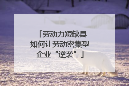 劳动力短缺县 如何让劳动密集型企业“逆袭”