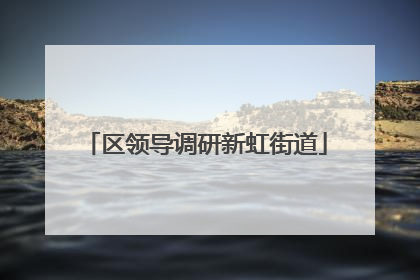 区领导调研新虹街道