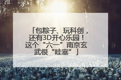 包粽子、玩科创，还有3D开心乐园！这个“六一”南京玄武很“哇塞”