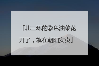 北三环的彩色油菜花开了，就在朝阳安贞