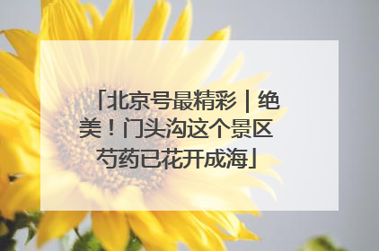 北京号最精彩｜绝美！门头沟这个景区芍药已花开成海