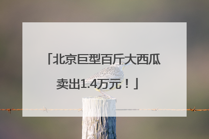 北京巨型百斤大西瓜卖出1.4万元！
