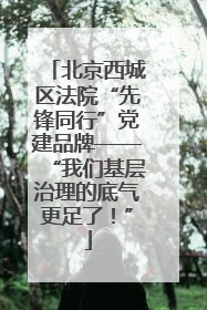 北京西城区法院“先锋同行”党建品牌——“我们基层治理的底气更足了！”
