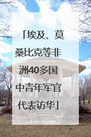 埃及、莫桑比克等非洲40多国中青年军官代表访华