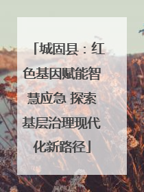 城固县：红色基因赋能智慧应急 探索基层治理现代化新路径