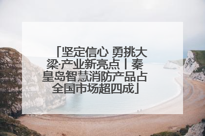 坚定信心 勇挑大梁·产业新亮点丨秦皇岛智慧消防产品占全国市场超四成