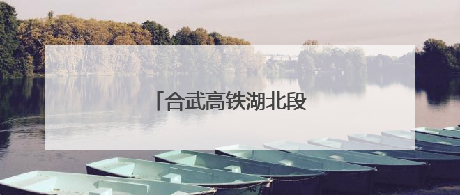 合武高铁湖北段建设取得新进展