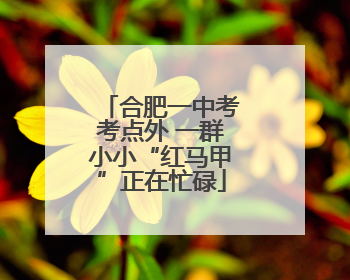 合肥一中考考点外 一群小小“红马甲”正在忙碌