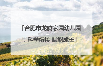 合肥市龙腾家园幼儿园：科学衔接 赋能成长