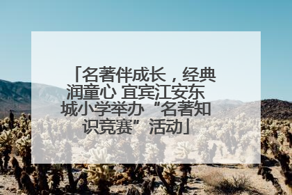 名著伴成长，经典润童心 宜宾江安东城小学举办“名著知识竞赛”活动