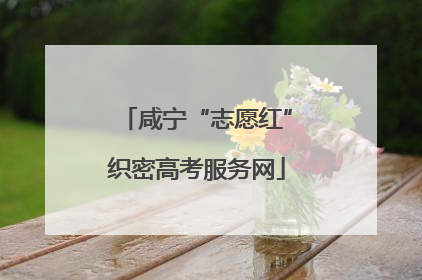 咸宁“志愿红”织密高考服务网