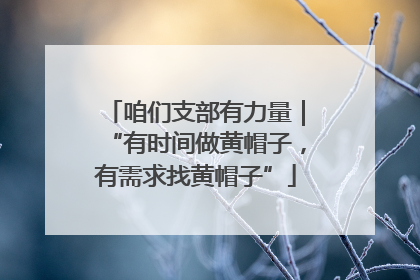 咱们支部有力量｜“有时间做黄帽子，有需求找黄帽子”