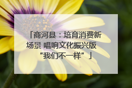 商河县：培育消费新场景 唱响文化振兴版“我们不一样”