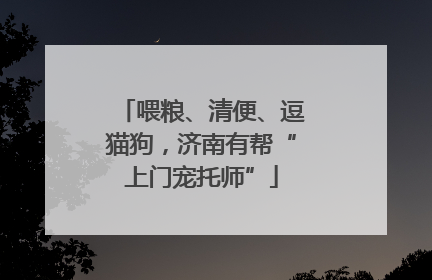 喂粮、清便、逗猫狗，济南有帮“上门宠托师”