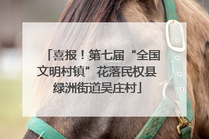 喜报！第七届“全国文明村镇”花落民权县绿洲街道吴庄村