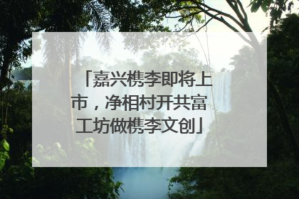 嘉兴槜李即将上市，净相村开共富工坊做槜李文创