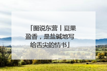 图说东营丨夏果盈香，是盐碱地写给舌尖的情书