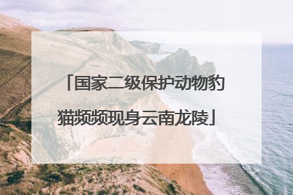 国家二级保护动物豹猫频频现身云南龙陵