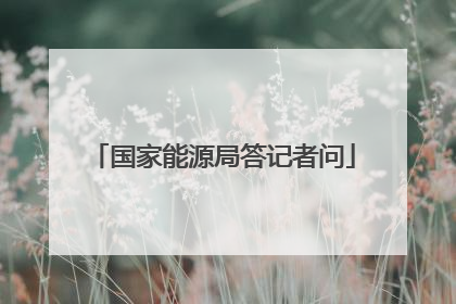 国家能源局答记者问