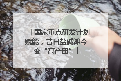 国家重点研发计划赋能，昔日盐碱滩今变“高产田”