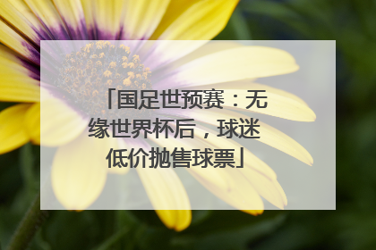 国足世预赛：无缘世界杯后，球迷低价抛售球票