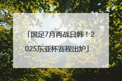 国足7月再战日韩！2025东亚杯赛程出炉