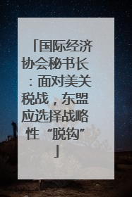 国际经济协会秘书长：面对美关税战，东盟应选择战略性“脱钩”