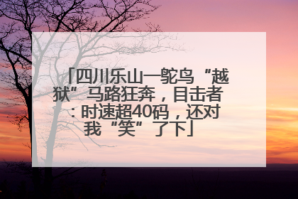 四川乐山一鸵鸟“越狱”马路狂奔，目击者：时速超40码，还对我“笑”了下