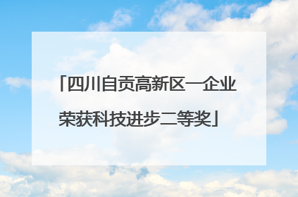 四川自贡高新区一企业荣获科技进步二等奖