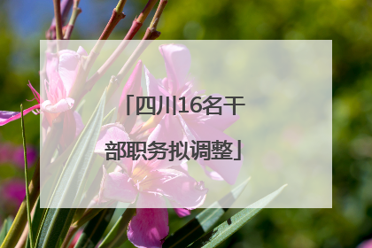 四川16名干部职务拟调整