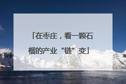在枣庄，看一颗石榴的产业“链”变