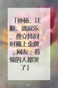 孙杨、汪顺、潘展乐、费立纬同时戴上金牌，网友：看懂的人都哭了
